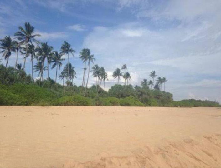Hotel Golden Bell Tangalle Eksteriør bilde