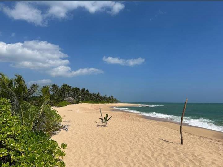 Hotel Golden Bell Tangalle Eksteriør bilde