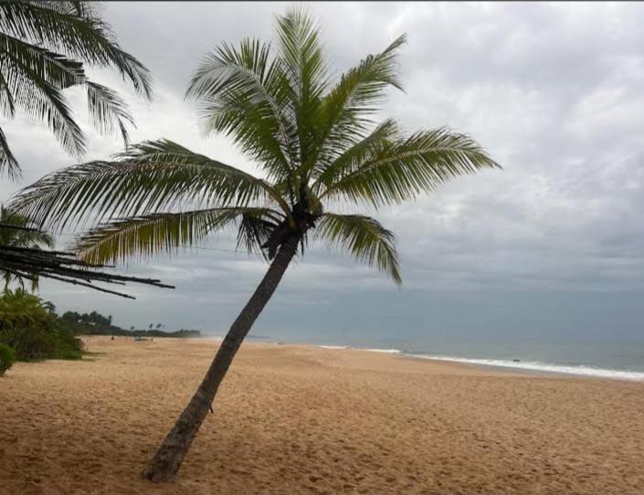 Hotel Golden Bell Tangalle Eksteriør bilde