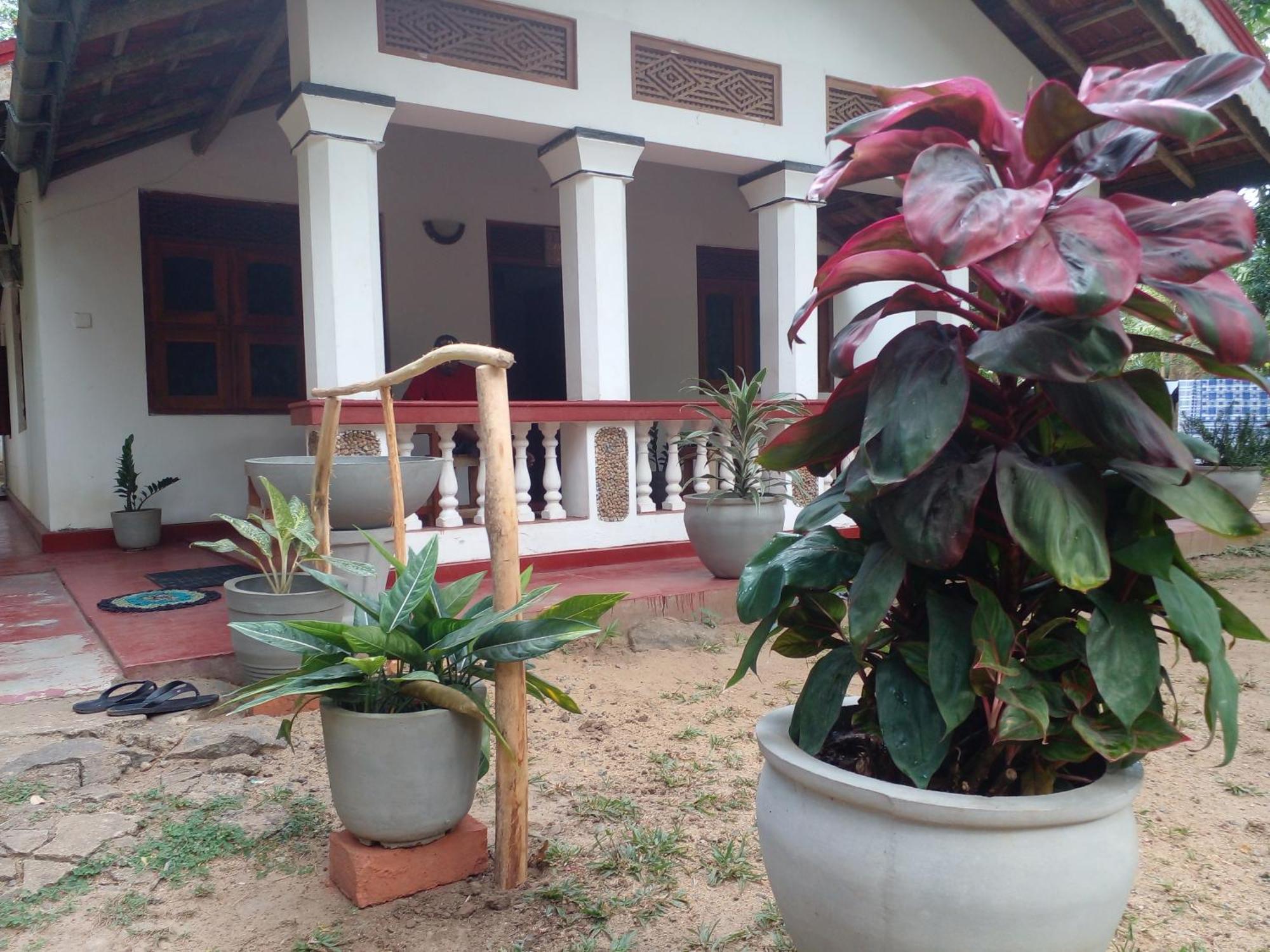 Hotel Golden Bell Tangalle Eksteriør bilde